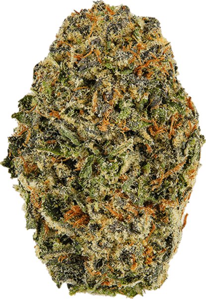 Blueberry Muffins image 1